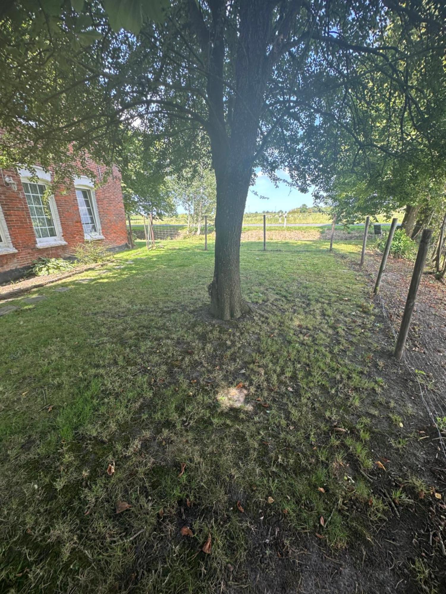 Apartamento Haus Tunix Butjadingen Exterior foto